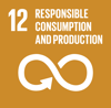 SDG 12